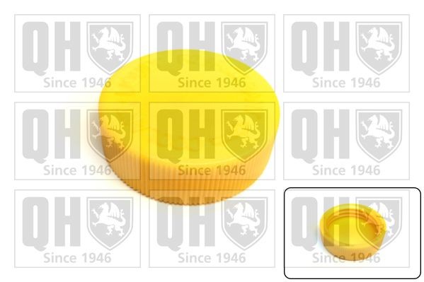 QUINTON HAZELL Expansion tank cap Article number: FC556 cheaply