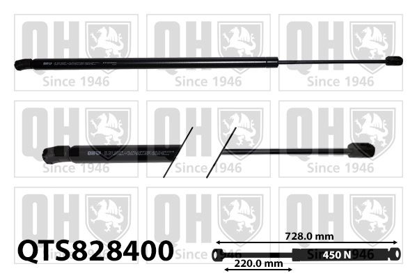 QUINTON HAZELL Tailgate strut Article number: QTS828400 cheaply