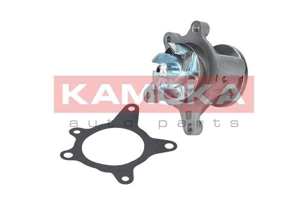 KAMOKA Water pump Article number: T0163 cheaply