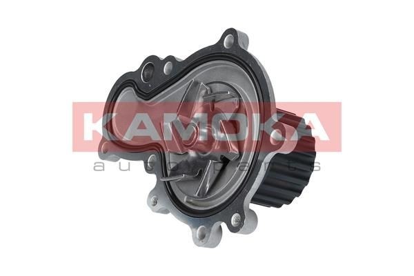 KAMOKA Water pump Article number: T0194 cheaply