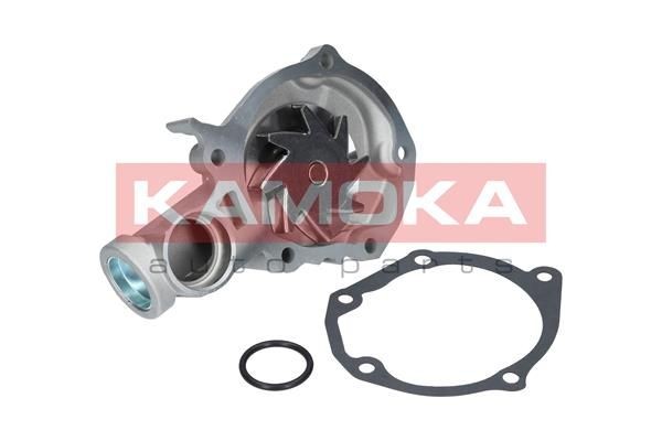 KAMOKA Pompe à eau UGS: T0209 à bon prix