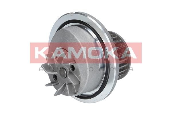 KAMOKA Pompe à eau numéro de l'article: T0253 à bon prix