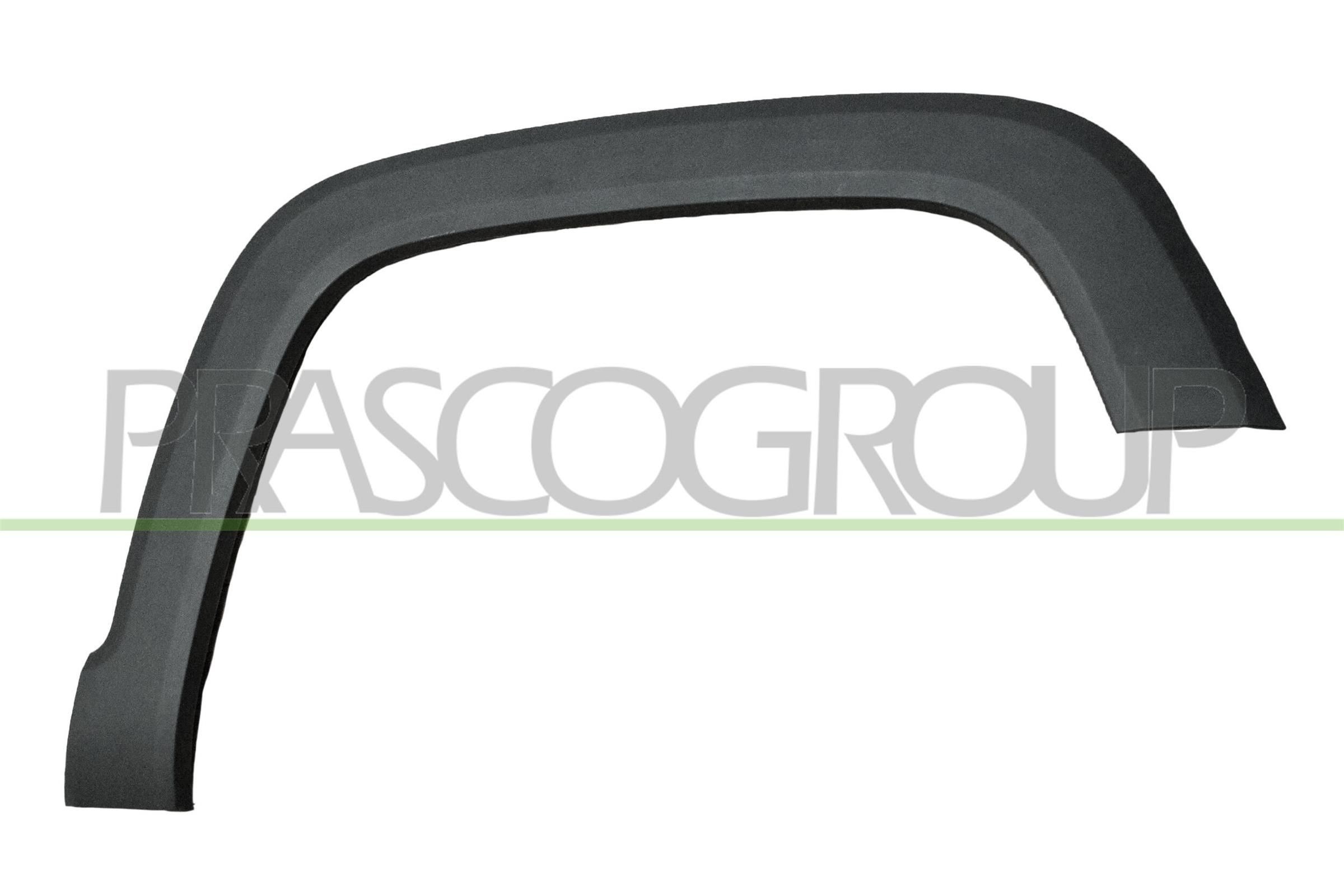 PRASCO Trim / Protective Strip, mudguard Article number: JE1001581 cheaply