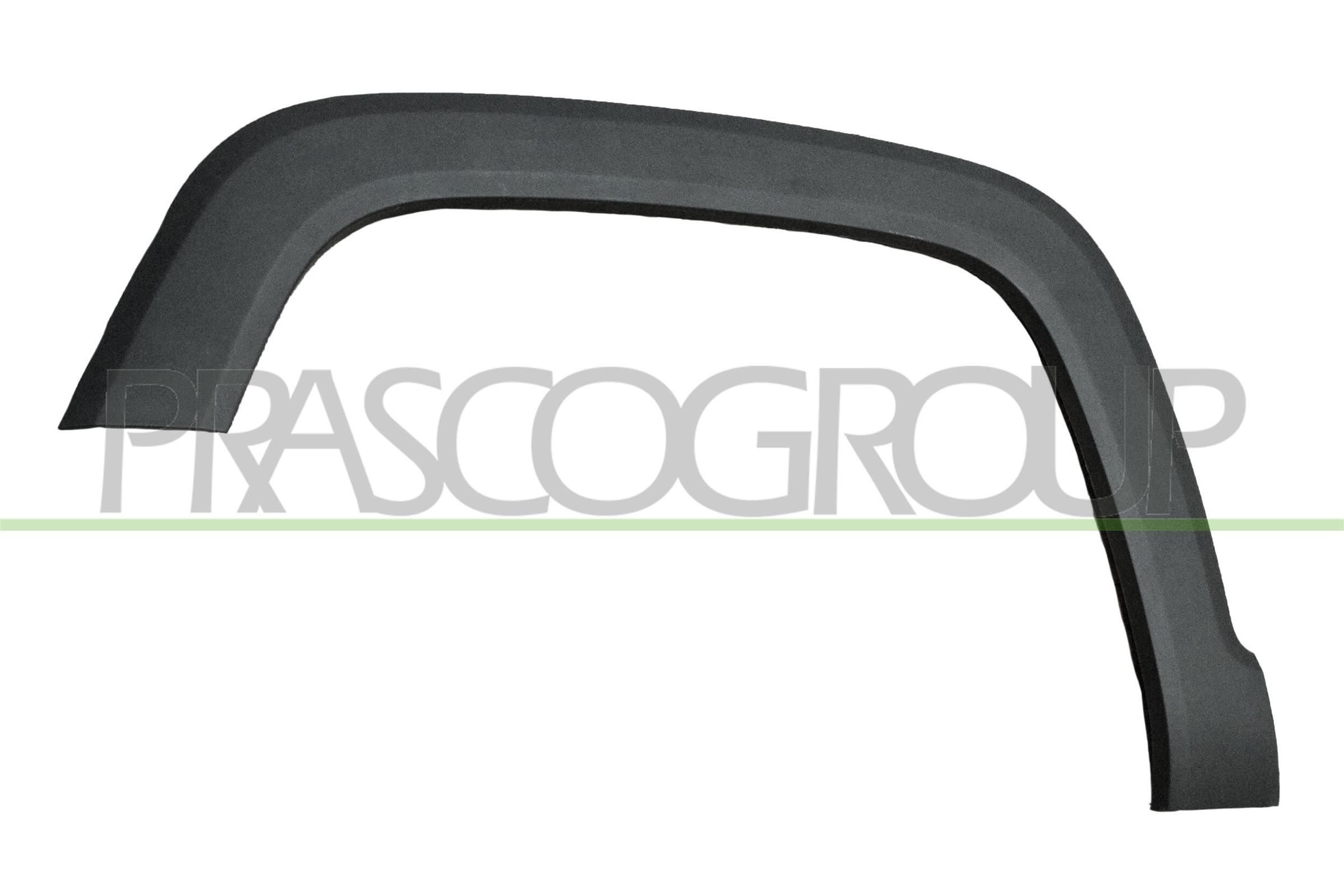 PRASCO Trim / Protective Strip, mudguard Article number: JE1001582 cheaply
