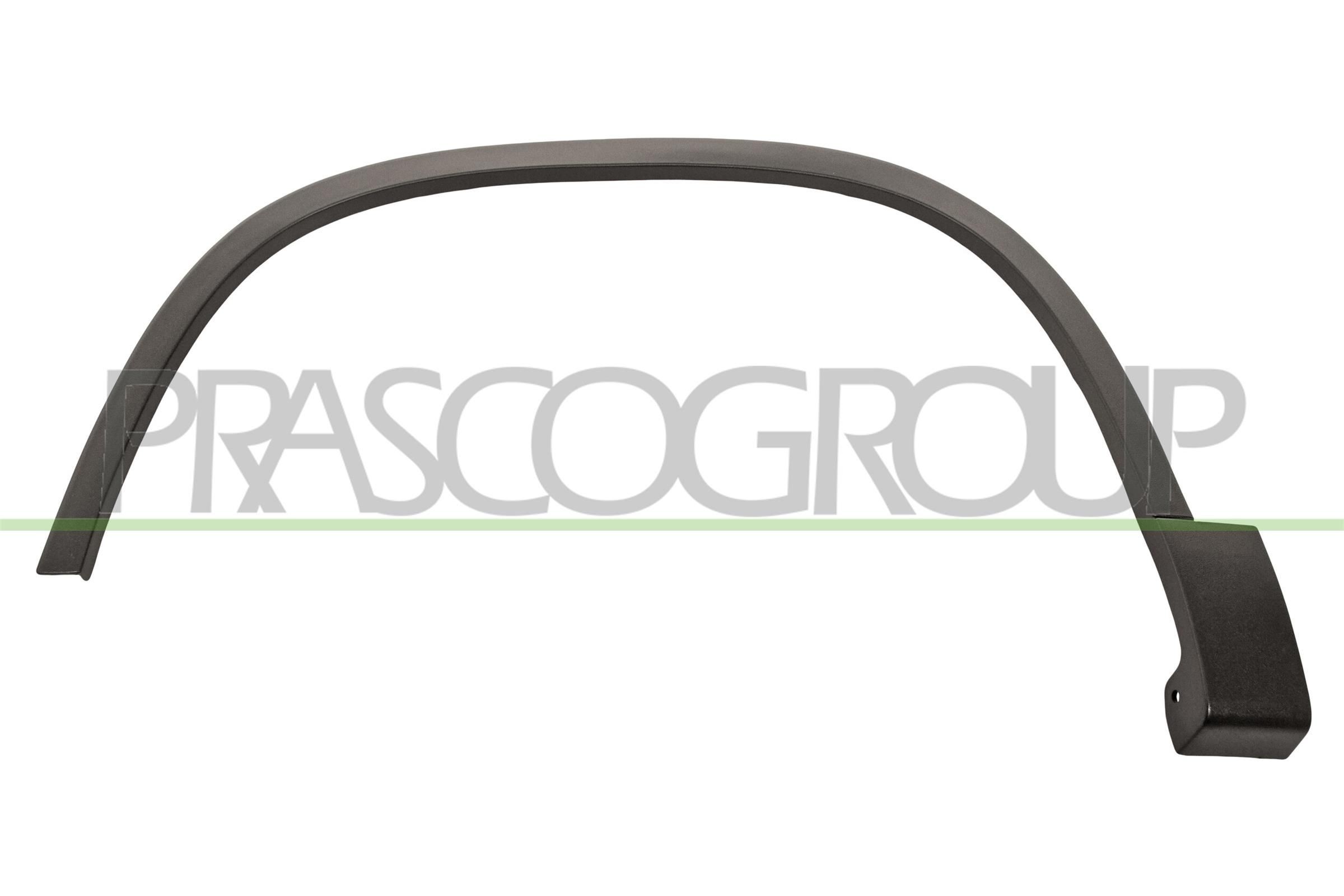PRASCO Trim / Protective Strip, mudguard Article number: VG8091582 cheaply