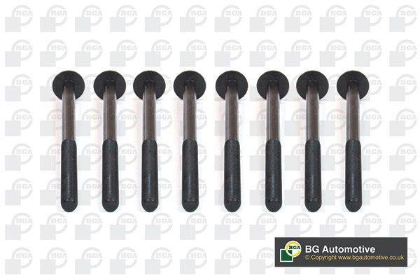 BGA Bolt Kit, cylinder head Article number: BK5930 cheaply