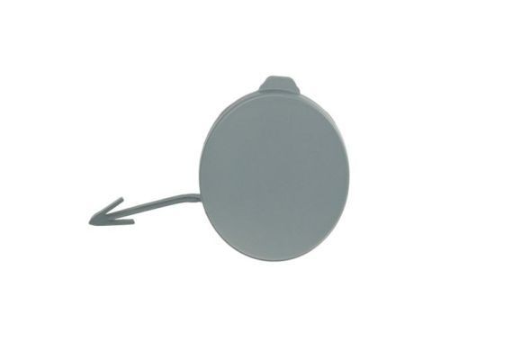 BLIC 5513-00-2535925P Flap, tow hook C-MAX 2.0 TDCi 170 PS Diesel 2019