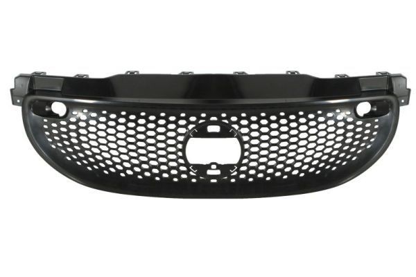 BLIC Radiator Grille Article number: 5601-00-3503995P cheaply