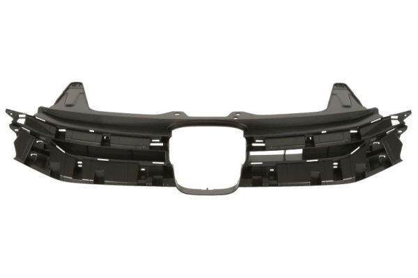 BLIC Radiator Grille Article number: 6502-07-2958991P cheaply