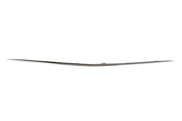 BLIC Bumper moulding Article number: 6502-07-3531913P cheaply