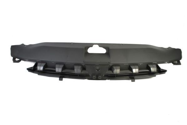 BLIC Radiator Grille Article number: 6502-07-5514990Q cheaply