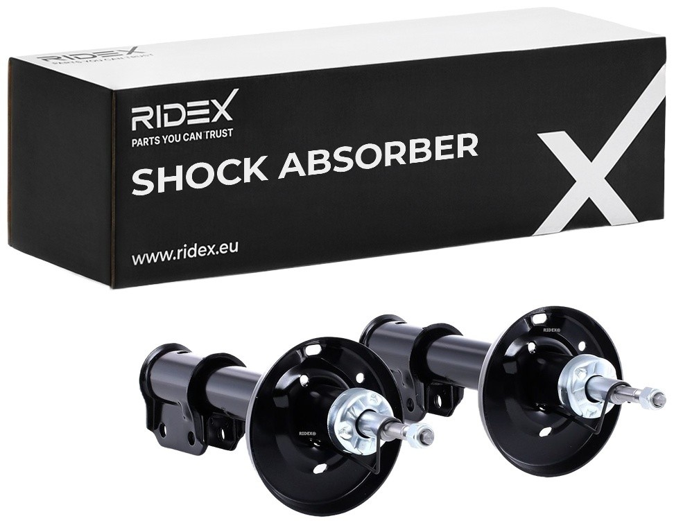 RIDEX Shock absorber Article number: 854S1622 cheaply