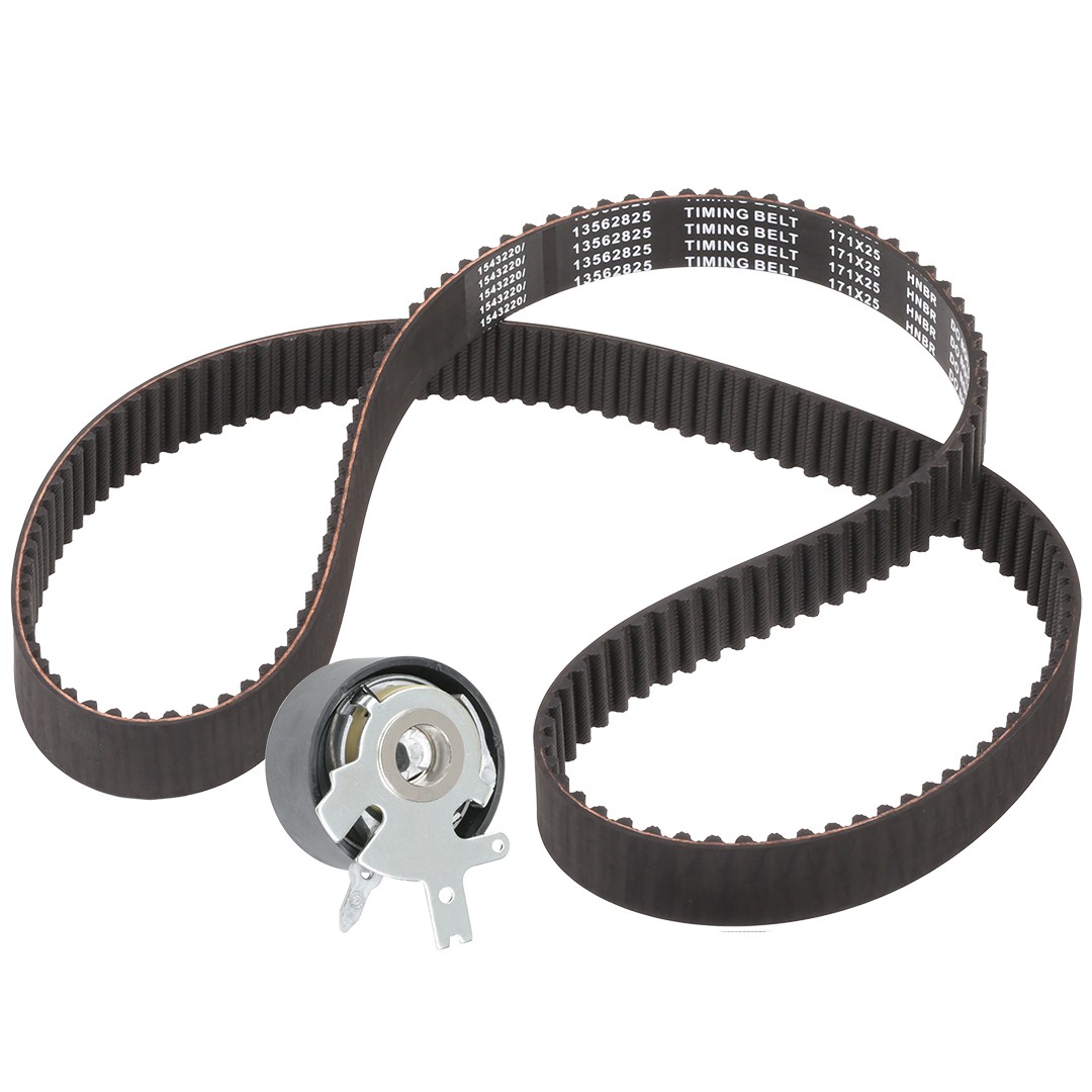 RIDEX Timing belt kit Article number: 307T0067 cheaply