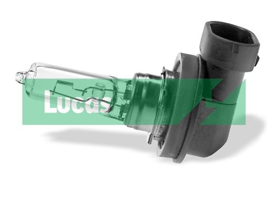 LUCAS Bulb, spotlight Article number: LLB9005 cheaply