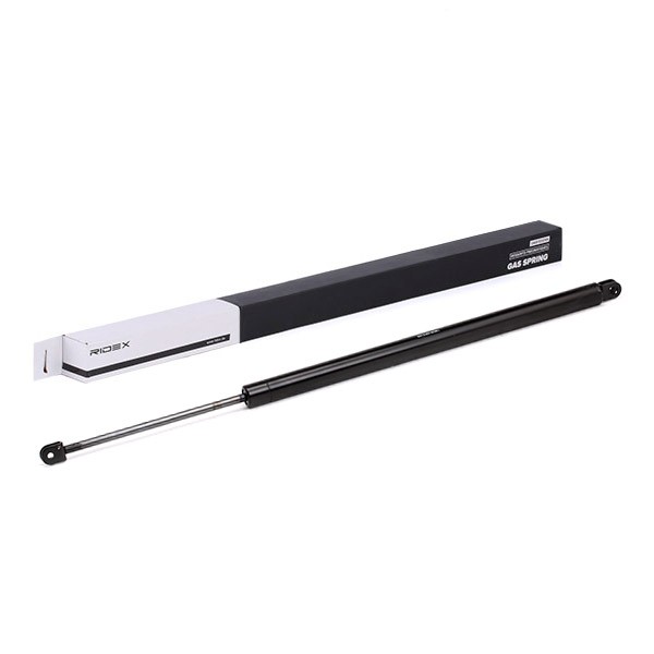 RIDEX Tailgate strut Article number: 219G0490 cheaply