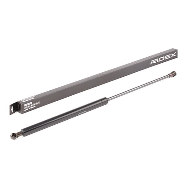 RIDEX Tailgate strut Article number: 219G0548 cheaply