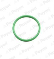 PAYEN Pakning, cylinderforing Varenummer: LA5251 billige