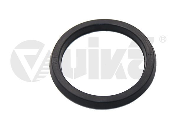 VIKA Seal / Gasket, oil dipstick Article number: 11030058601 cheaply
