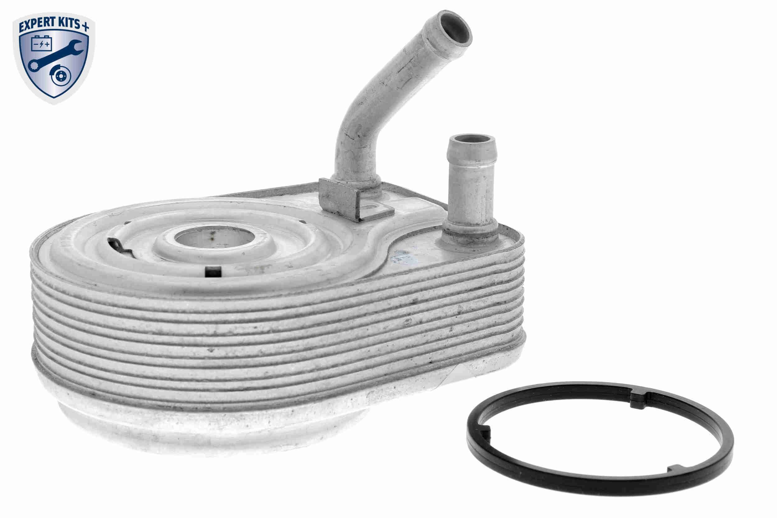 ACKOJA Engine oil cooler Article number: A52-60-0008 cheaply
