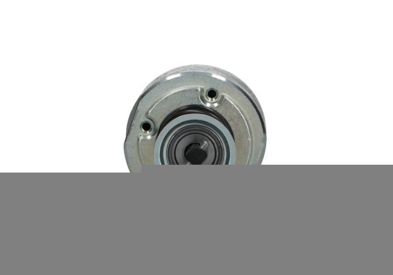 BV PSH Alternator Article number: 215.566.220.505 cheaply