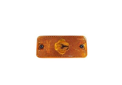 VAN WEZEL 0983919 Side Marker Light Daily 35S17, 40C17, 45C17, 50C17 170 PS Diesel 2014