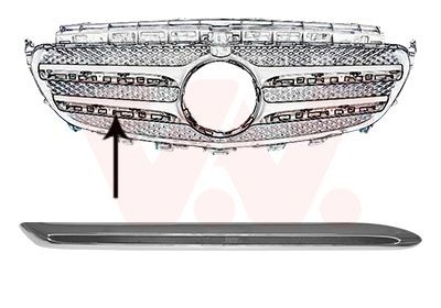 VAN WEZEL Trim / Protective Strip, radiator grille Article number: 2932418 cheaply