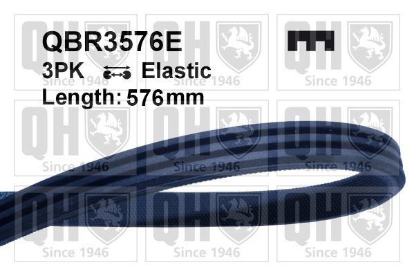 QUINTON HAZELL Serpentine belt Article number: QBR3576E cheaply