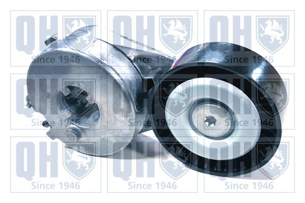 QUINTON HAZELL Tensioner pulley Article number: QTA1621 cheaply
