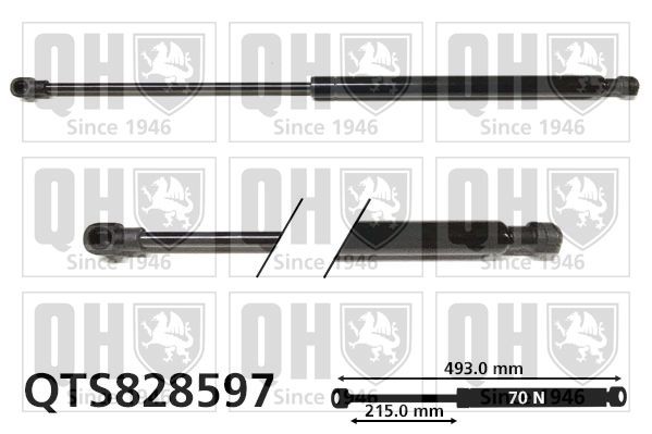 QUINTON HAZELL Bagklapsdæmper Varenummer: QTS828597 billige