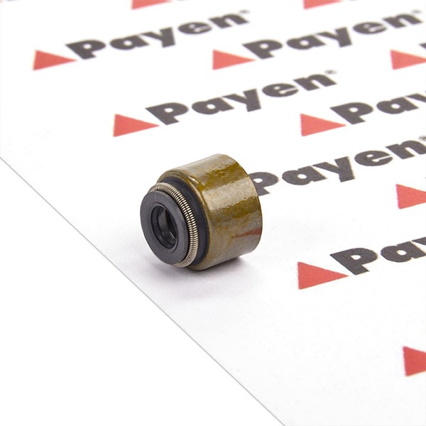 PAYEN Valve stem seal Article number: PA6077 cheaply