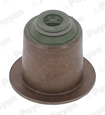 PAYEN Valve stem seal Article number: PA6095 cheaply