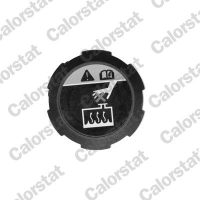 CALORSTAT by Vernet Expansion tank cap Article number: RC0200 cheaply