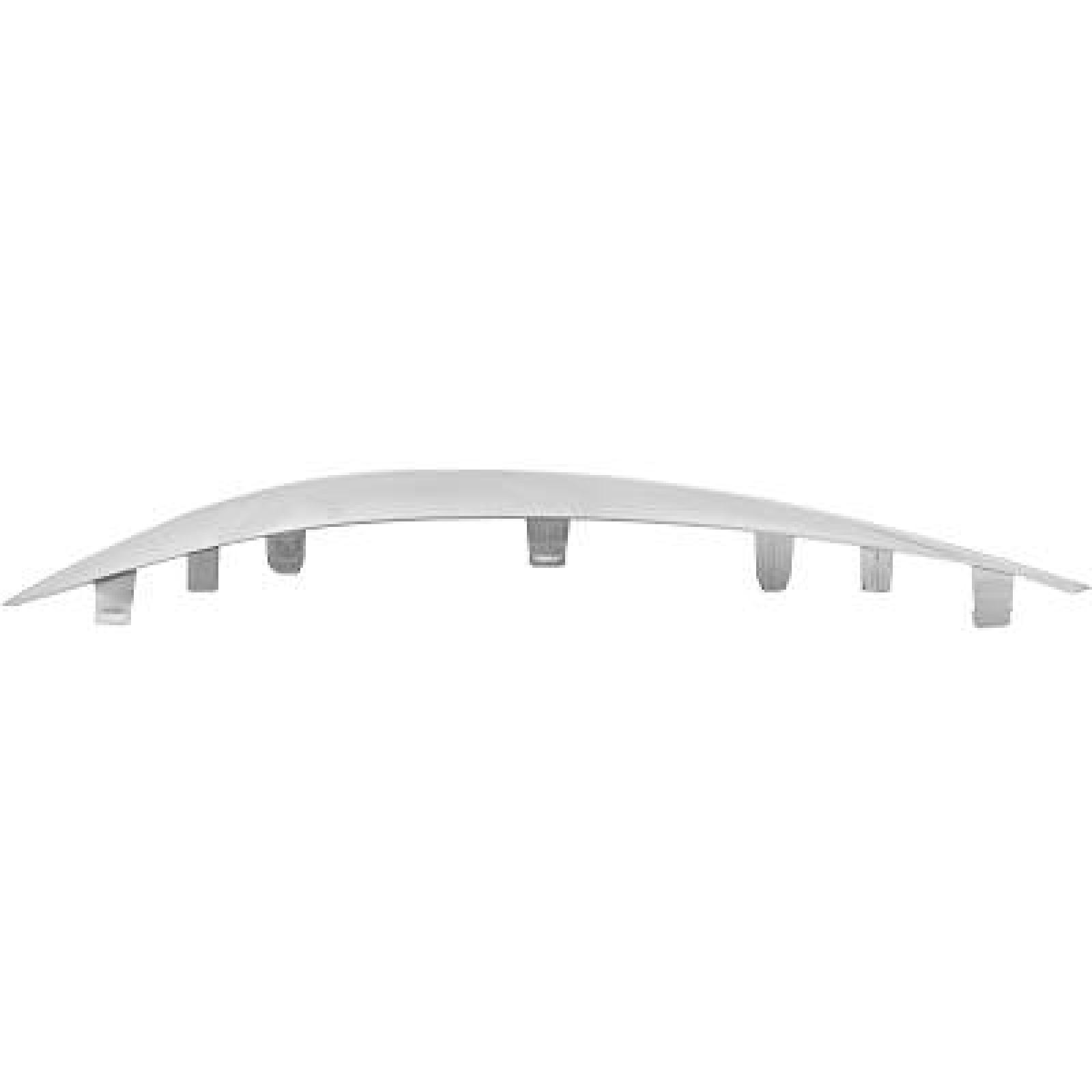 DIEDERICHS Bumper moulding Article number: 1673062 cheaply