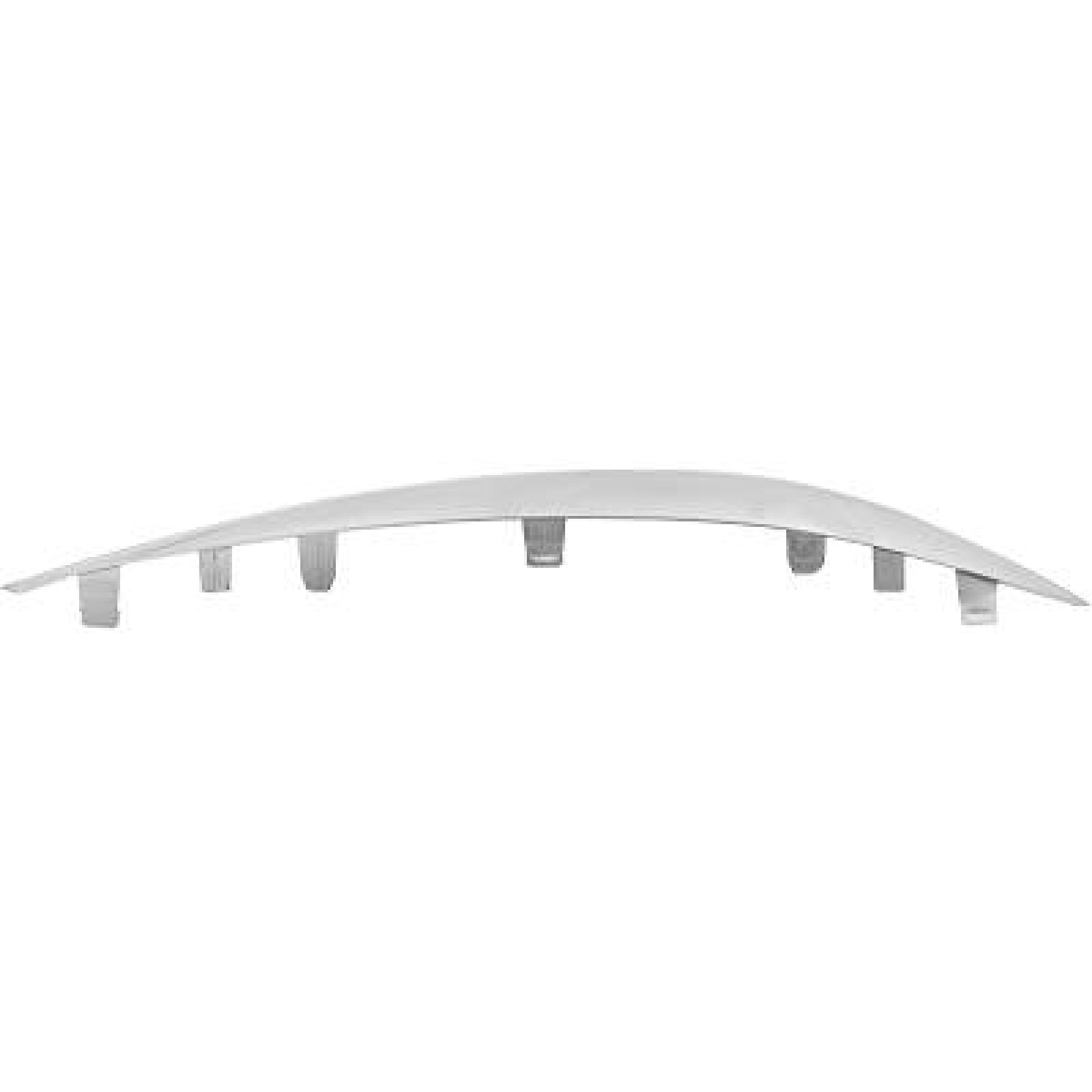 DIEDERICHS Bumper moulding Article number: 1673063 cheaply