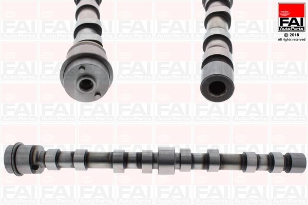 FAI AutoParts Camshaft Article number: C390 cheaply