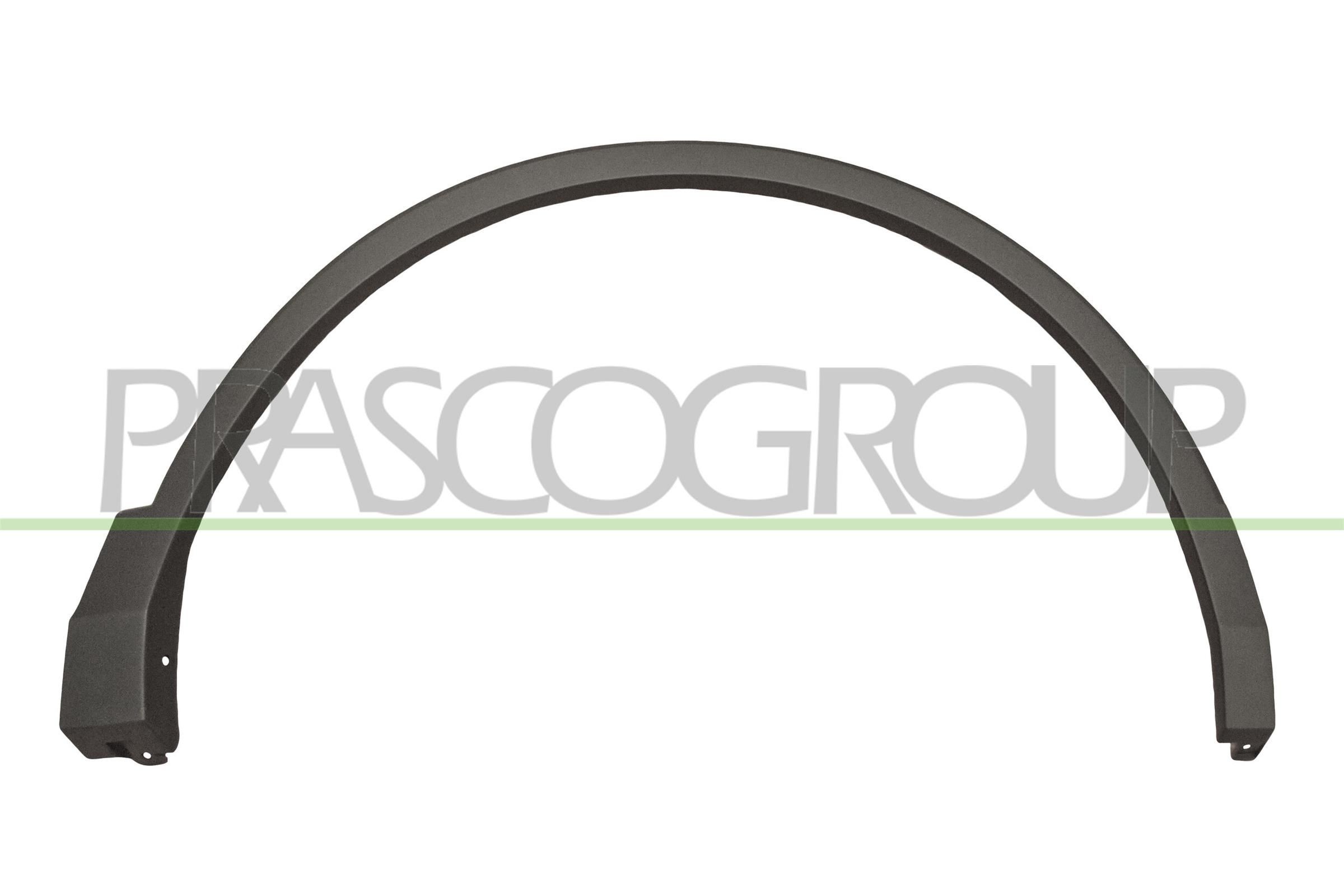 PRASCO Trim / Protective Strip, mudguard Article number: VG8101581 cheaply