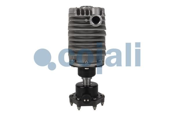 COJALI Air Filter, compressor Article number: 2480007 cheaply