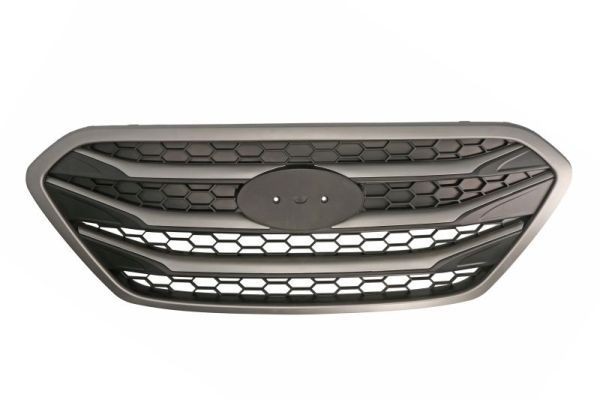 BLIC Radiator Grille Article number: 6502-07-3177990P cheaply
