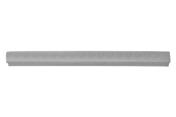 BLIC Rocker panel Article number: 6505-06-0538015P cheaply