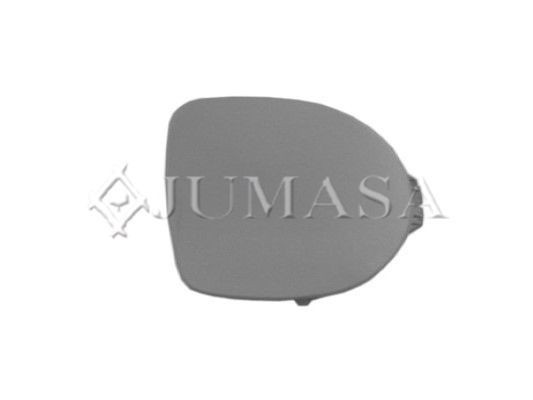 JUMASA 28324077 Cap, fog light CLIO 1.2 (BB0A, BB0F, BB10, BB1K, BB28, BB2D, BB2H, CB0A,... 58 PS Petrol 2016