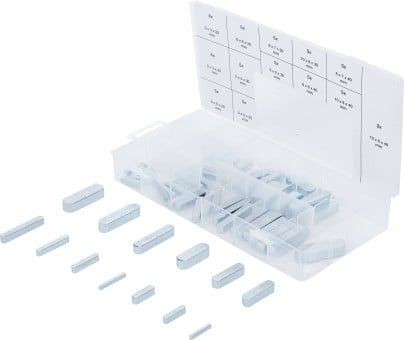 BGS Assortment, tension/compression springs Article number: 8141 cheaply