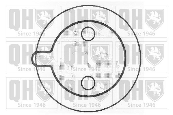 QUINTON HAZELL Brake Pad Set, disc parking brake Article number: BP245 cheaply