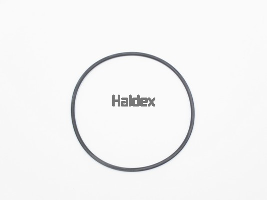HALDEX Pakning, cylinderforing Varenummer: 024020909 billige