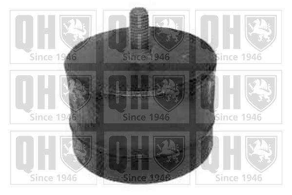 QUINTON HAZELL Engine mount Article number: EM1534 cheaply