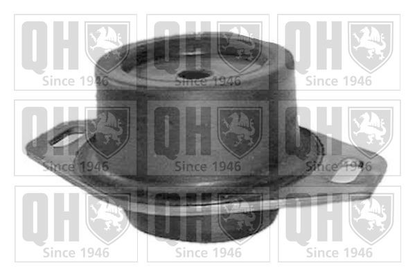 QUINTON HAZELL Engine mount Article number: EM1897 cheaply