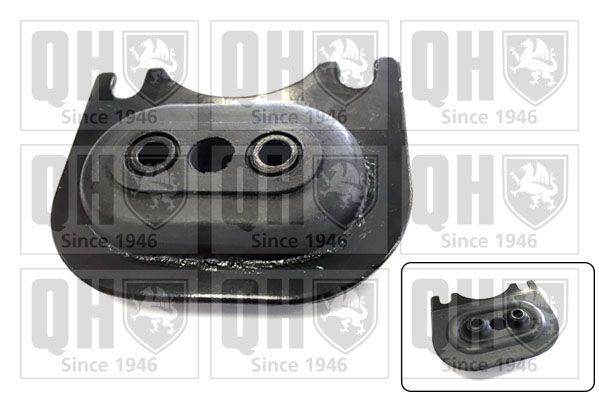 QUINTON HAZELL Engine mount Article number: EM2000 cheaply