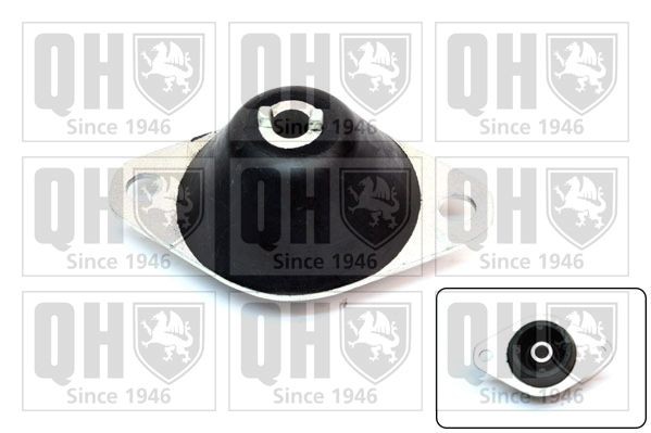 QUINTON HAZELL Mounting, manual transmission Article number: EM2126 cheaply