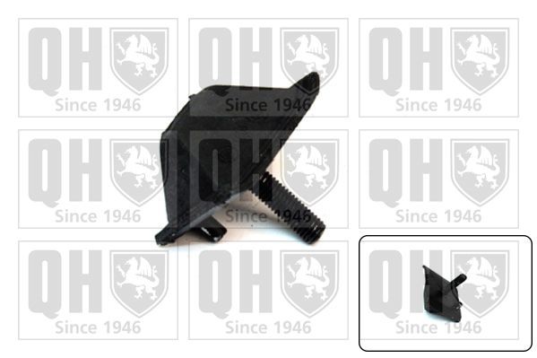 QUINTON HAZELL Engine mount Article number: EM2131 cheaply
