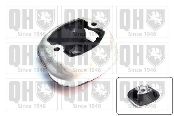 QUINTON HAZELL Engine mount Article number: EM2495 cheaply