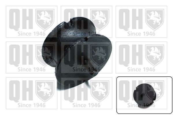 QUINTON HAZELL Engine mount Article number: EM412 cheaply